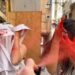 Borseggi, donne e bambini: quando la strada diventa una scuola di illegalità e lo Stato non può limitarsi a guardare