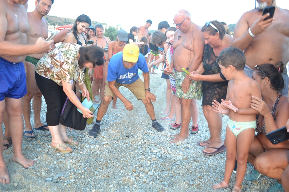 Trovato sulla spiaggia di Zambrone, in un lido, il quarto nido di tartarughe della stagione 5 DSC 0058