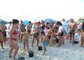 A Santa Domenica di Ricadi il fiuto di Rebi conquista turisti e residenti: LIFE Turtlenest presenta le unità cinofile Tartadog (VIDEO)