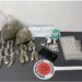 I Carabinieri di Cirò sequestrano cocaina e marijuana in un immobile abbandonato 8 I Carabinieri di Cirò sequestrano cocaina e marijuana in un immobile abbandonato