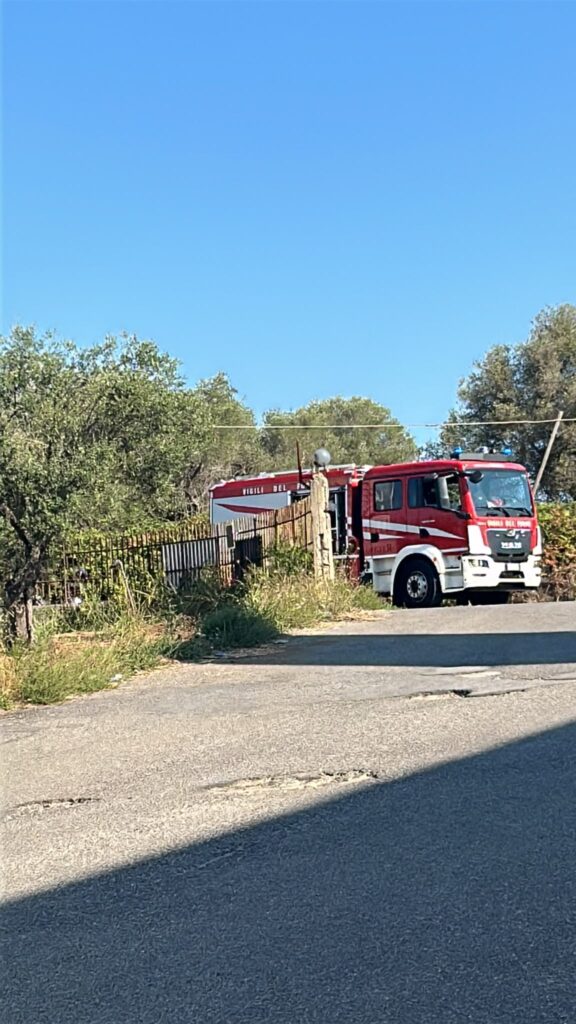 Ancora sangue sfiorato sulla Statale 18: l'ennesimo incidente riapre il caso dell'incrocio di Regina Pacis 3 WhatsApp Image 2026 08 05 at 10.34.55 1