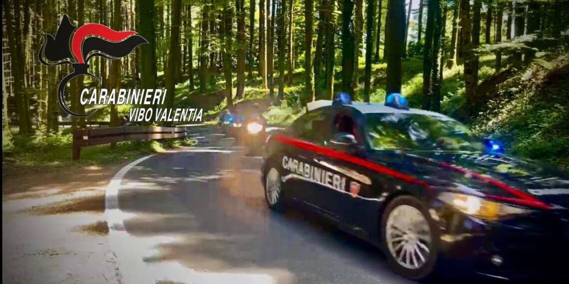 Vazzano: sorpreso con due auto rubate, arrestato dai Carabinieri 1 Vazzano: sorpreso con due auto rubate, arrestato dai Carabinieri