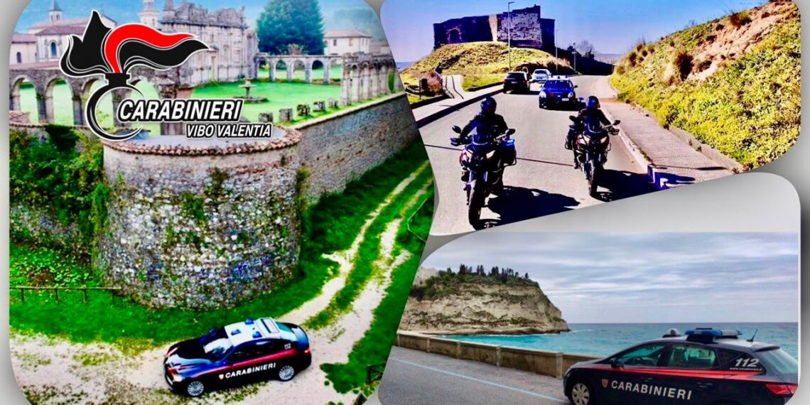 L'attività di controllo dei Carabinieri della Compagnia di Tropea 1 L’attività di controllo dei Carabinieri della Compagnia di Tropea