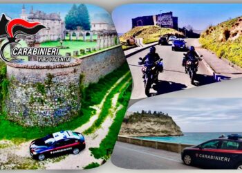 L'attività di controllo dei Carabinieri della Compagnia di Tropea 4 L’attività di controllo dei Carabinieri della Compagnia di Tropea