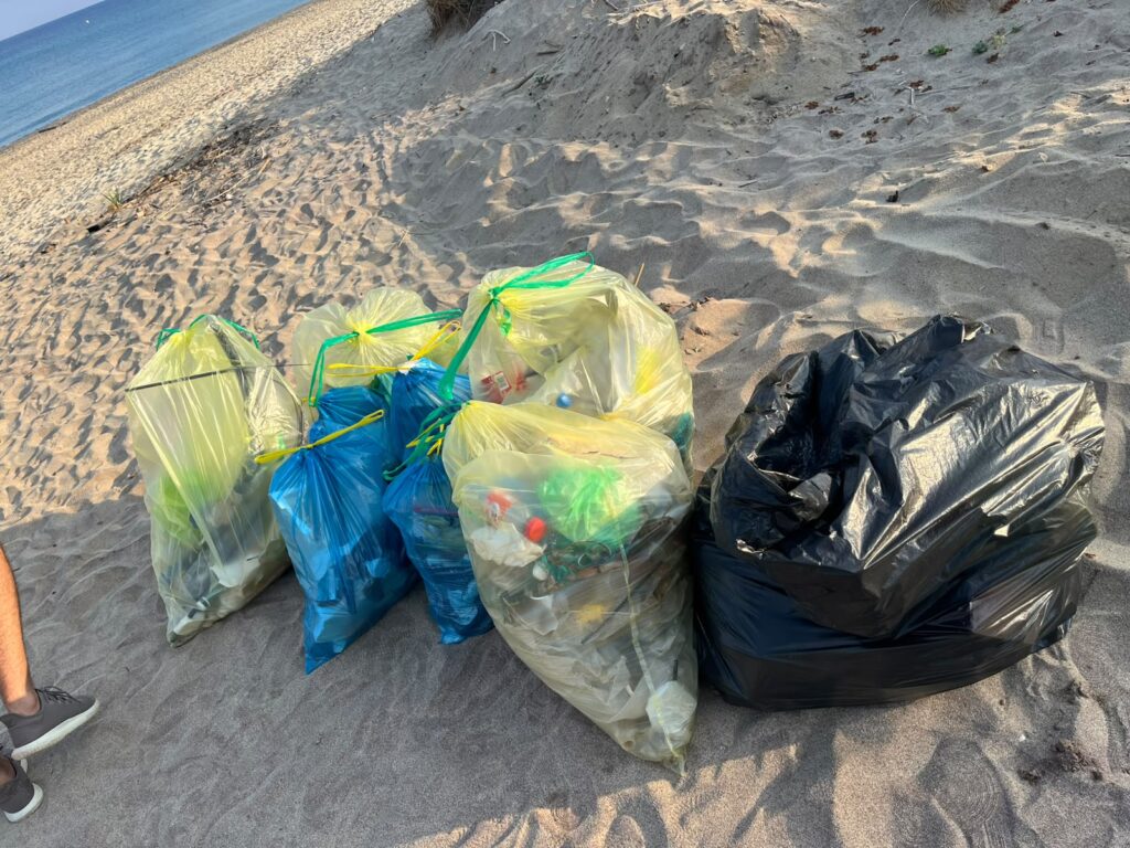Fatti, non parole: i ragazzi del Leo Club di Vibo Valentia ripuliscono la spiaggia di Colamaio 8 WhatsApp Image 2026 08 12 at 10.40.21