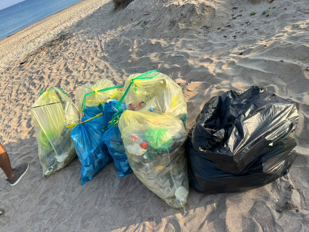 Fatti, non parole: i ragazzi del Leo Club di Vibo Valentia ripuliscono la spiaggia di Colamaio 7 WhatsApp Image 2026 08 12 at 10.40.22 3