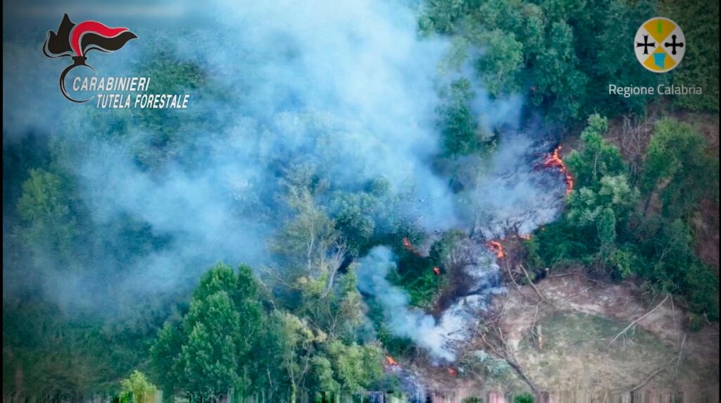 Mileto, appicca il fuoco e si allontana con il trattore. Ma il drone lo sta filmando e i Carabinieri lo arrestano (VIDEO) 2 WhatsApp Image 2026 08 18 at 08.43.54
