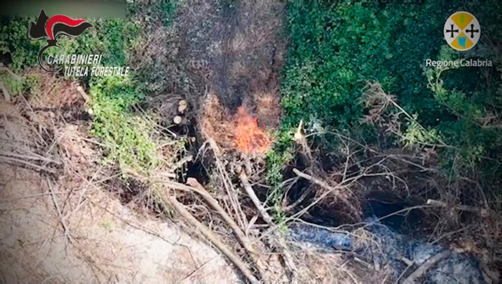 Mileto, appicca il fuoco e si allontana con il trattore. Ma il drone lo sta filmando e i Carabinieri lo arrestano (VIDEO) 4 WhatsApp Image 2026 08 18 at 08.43.56