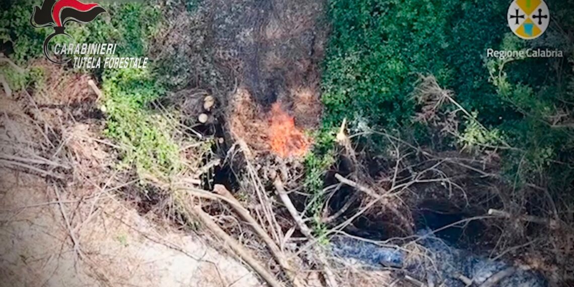 Mileto, appicca il fuoco e si allontana con il trattore. Ma il drone lo sta filmando e i Carabinieri lo arrestano (VIDEO) 1 Mileto, appicca il fuoco e si allontana con il trattore. Ma il drone lo sta filmando e i Carabinieri lo arrestano (VIDEO)