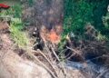 Mileto, appicca il fuoco e si allontana con il trattore. Ma il drone lo sta filmando e i Carabinieri lo arrestano (VIDEO) 7 Mileto, appicca il fuoco e si allontana con il trattore. Ma il drone lo sta filmando e i Carabinieri lo arrestano (VIDEO)