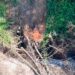 Mileto, appicca il fuoco e si allontana con il trattore. Ma il drone lo sta filmando e i Carabinieri lo arrestano (VIDEO) 8 Mileto, appicca il fuoco e si allontana con il trattore. Ma il drone lo sta filmando e i Carabinieri lo arrestano (VIDEO)