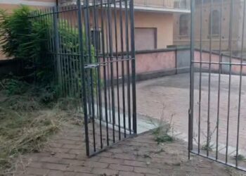 Palazzo Gagliardi, il simbolo dimenticato: quando l’incuria diventa una ferita alla città (VIDEO) 8 Palazzo Gagliardi, il simbolo dimenticato: quando l’incuria diventa una ferita alla città (VIDEO)