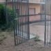 Palazzo Gagliardi, il simbolo dimenticato: quando l’incuria diventa una ferita alla città (VIDEO) 12 Palazzo Gagliardi, il simbolo dimenticato: quando l’incuria diventa una ferita alla città (VIDEO)