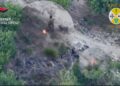 I Carabinieri arrestano un allevatore piromane di Zungri (VIDEO)