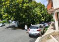 Vibo Valentia, rami sopra le auto e a ridosso dei pedoni in centro città: una situazione che merita attenzione 8 Vibo Valentia, rami sopra le auto e a ridosso dei pedoni in centro città: una situazione che merita attenzione