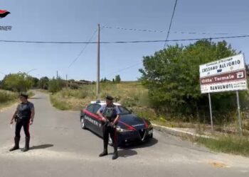 Donna di 46 anni lasciata esanime davanti all'ospedale di Trebisacce 4 Donna di 46 anni lasciata esanime davanti all’ospedale di Trebisacce