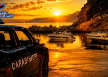 Controlli dei Carabinieri nel fine settimana nel Vibonese: un arresto a Pizzo, rinvenute 18 piante di cannabis, denunce e sequestri 1 Controlli dei Carabinieri nel fine settimana nel Vibonese: un arresto a Pizzo, rinvenute 18 piante di cannabis, denunce e sequestri
