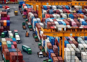 Arrestati due portuali a Gioia Tauro mentre tentavano di portare fuori dal porto alcuni borsoni con 252 chilogrammi di cocaina 9 Arrestati due portuali a Gioia Tauro mentre tentavano di portare fuori dal porto alcuni borsoni con 252 chilogrammi di cocaina