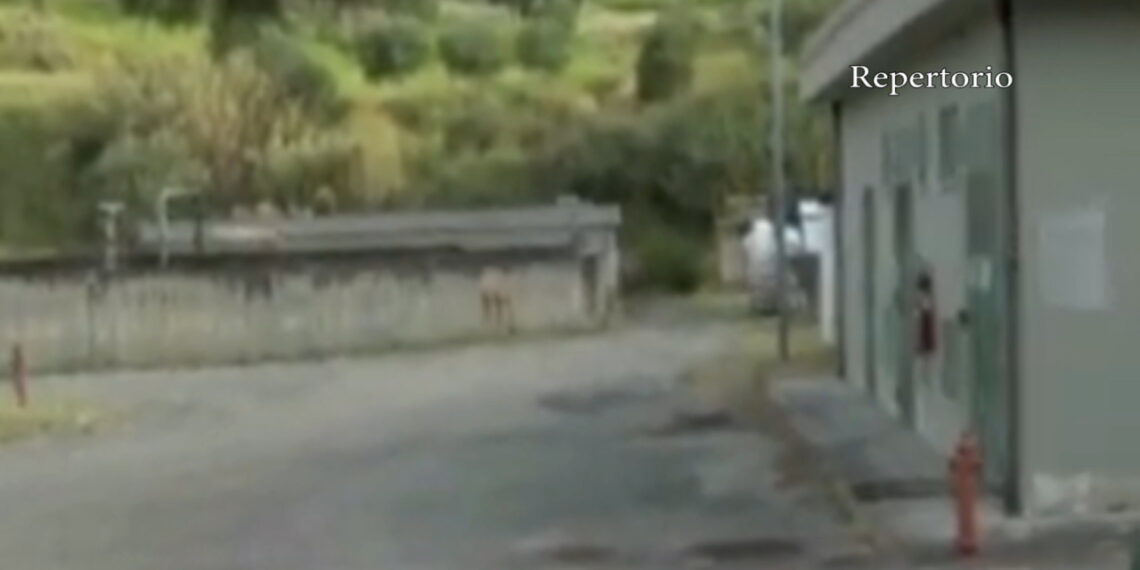 Invito a dedurre per un presunto danno erariale di circa 600mila euro notificato a 9 persone, fisiche e giuridiche (VIDEO) 1 Invito a dedurre per un presunto danno erariale di circa 600mila euro notificato a 9 persone, fisiche e giuridiche (VIDEO)