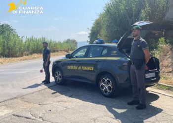 Estate Sicura nel vibonese, le Fiamme Gialle in campo contro abusivismo, evasione fiscale e lavoro nero