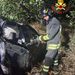 Incidente stradale sulla SP 22 a Spilinga: intervento dei Vigili del Fuoco
