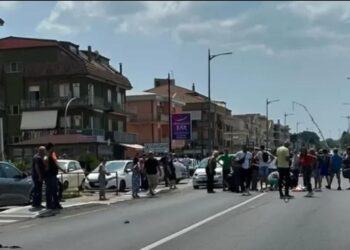Carmelo e Andrea, due vite spezzate. I giovani della politica vibonese si uniscono: “Il dolore non ha colore, la sicurezza non può più aspettare” 7 Carmelo e Andrea, due vite spezzate. I giovani della politica vibonese si uniscono: “Il dolore non ha colore, la sicurezza non può più aspettare”