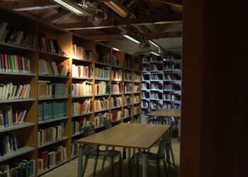 Sistema Bibliotecario, Cuore Vibonese accusa: un’occasione storica persa: Romeo e l’assessore alla Cultura hanno fallito 7 Sistema Bibliotecario, Cuore Vibonese accusa: un’occasione storica persa: Romeo e l’assessore alla Cultura hanno fallito