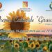 A Francesco Pira il Premio Culturale “Girasole” 2026. Il sociologo è docente all’Università di Messina, saggista e giornalista 8 A Francesco Pira il Premio Culturale “Girasole” 2026. Il sociologo è docente all’Università di Messina, saggista e giornalista