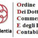 Nasce la Commissione Giovani dell'Ordine dei Dottori Commercialisti e degli Esperti Contabili di Vibo Valentia 8 Nasce la Commissione Giovani dell’Ordine dei Dottori Commercialisti e degli Esperti Contabili di Vibo Valentia