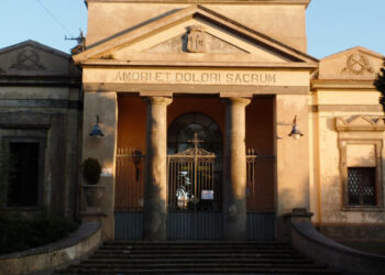 Vibo Valentia, Cimitero abbandonato: quando l’incuria entra in un luogo sacro 5 Vibo Valentia, Cimitero abbandonato: quando l’incuria entra in un luogo sacro