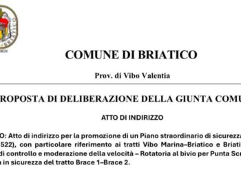 Sicurezza sulla SP 95, il Comune di Briatico presenta un piano straordinario. Gagliardi: "Stop alla propaganda sulle tragedie" 5 Sicurezza sulla SP 95, il Comune di Briatico presenta un piano straordinario. Gagliardi: “Stop alla propaganda sulle tragedie”