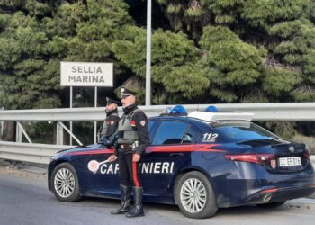 I Carabinieri denunciano la titolare di un impianto per la lavorazione degli inerti a Soveria Simeri 1 I Carabinieri denunciano la titolare di un impianto per la lavorazione degli inerti a Soveria Simeri
