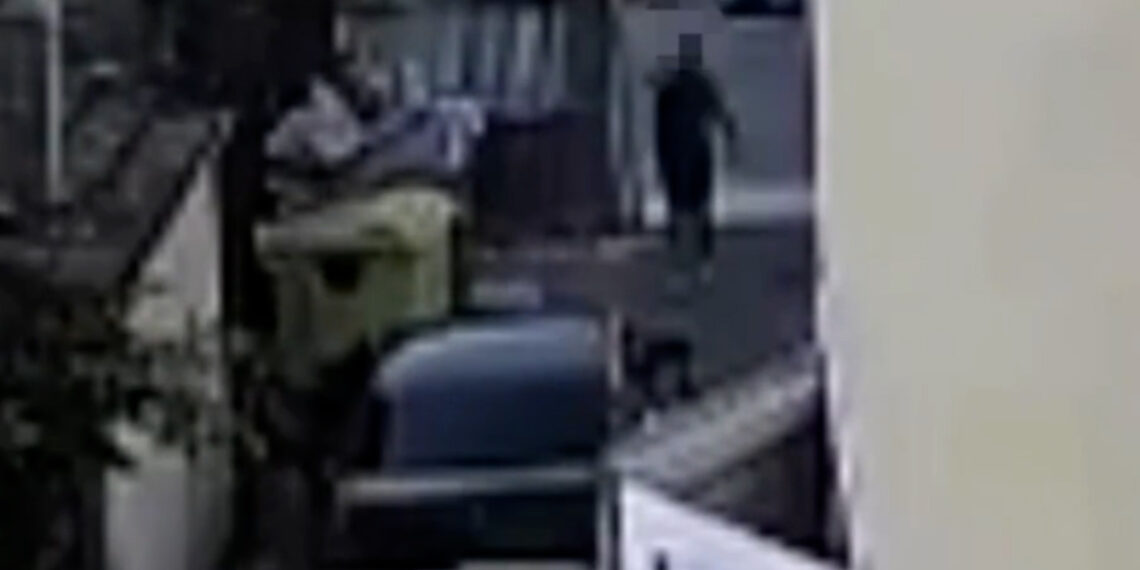 Convalidato il fermo per tentato omicidio di un 61enne a Vibo Valentia (VIDEO) 1 Convalidato il fermo per tentato omicidio di un 61enne a Vibo Valentia (VIDEO)